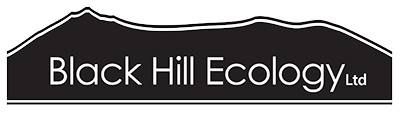 Black Hill Ecology Ltd